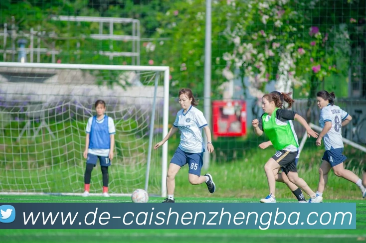 辅助工具 辅助工具